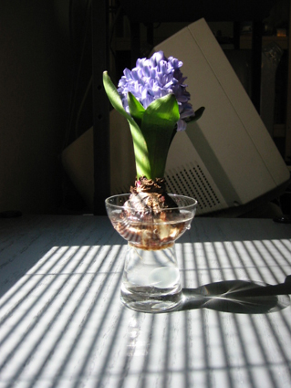 �����̋���